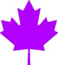 canadian-leaf-purple.jpg