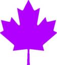 canadian-leaf-purple.jpg