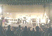 Image (226k)