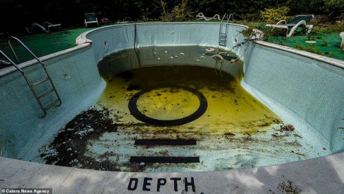 derelict-guitar-pool